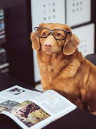 Read to Shelby!